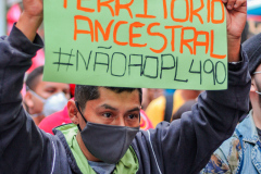Protesto-indigena-no-centro-da-cidade-do-Rio-de-Janeiro-em-2021-durante-a-pandemia-com-o-objetivo-de-lutar-contra-o-Marco-Temporal.-5