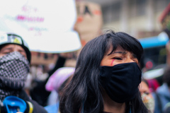 Protesto-indigena-no-centro-da-cidade-do-Rio-de-Janeiro-em-2021-durante-a-pandemia-com-o-objetivo-de-lutar-contra-o-Marco-Temporal.-7