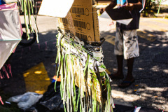 IMG_2791